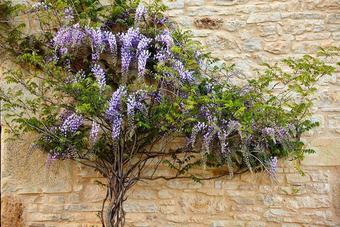 G�te De La Tour De Ginaillac