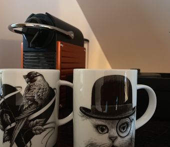 Bed & Breakfast Moulin Royale