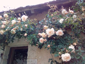G�te - Ch�teau De Ch�mery