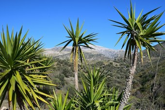 Bed & Breakfast Cortijo La Zapatera