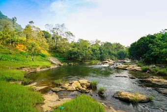 Hotel Oyo 24284 Snow Lavender Resorts Mankkulam