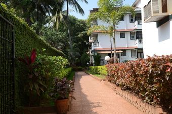 Ver fotos