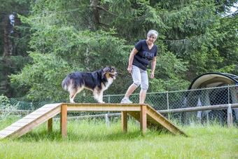 Fiemme Village Camping