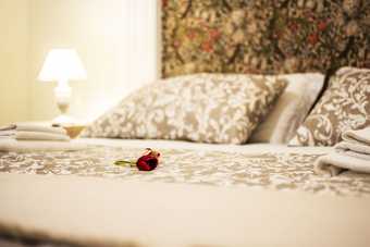Hotel Domus Sibyllina