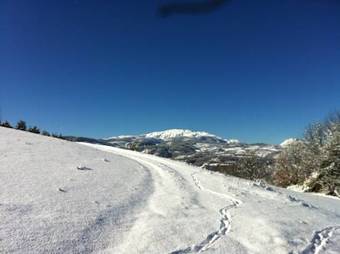 Apartamentos Marisa Mored