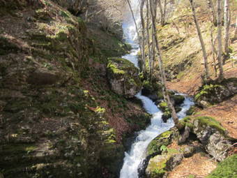 Apartamentos Remo�a