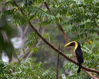 Inn Jimenez Bed & Breakfast