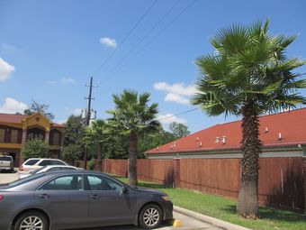 Motel Winchester Inn & Suites Humble/iah/north Houston