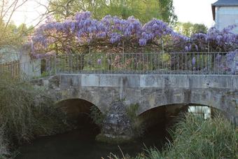 House With 2 Bedrooms In Champigny-sur-veude, With Enclosed Garden
