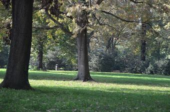 Locanda Degli Este - B&B Comacchio