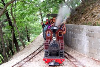 Agroturismo Agriturismo La Collina Dei Treni