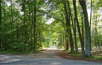 Apartamentos Appartementpark Seeblick