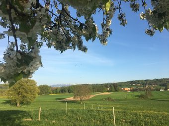 Hotel Chambre D'h�tes Du Gu�ravet