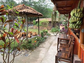 Hostal Tinh Homestay - Hostel