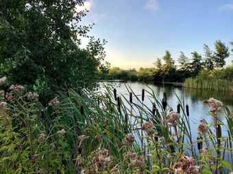 Apartamentos Am Gr�n 9