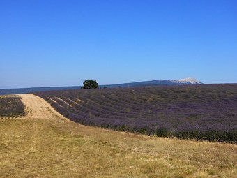Bed & Breakfast La Lauren