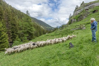 Motel Du Bivouac Napol�on