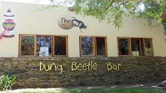 Hostal Barrydale Backpackers And Dung Beetle - Hostel