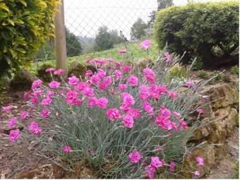 Apartamentos La Quintana De Romillo