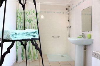 Rhodogites Du Go�lo - Rhododendron