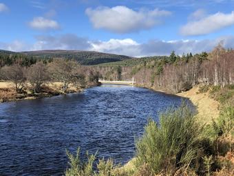 Apartamentos Tanar View