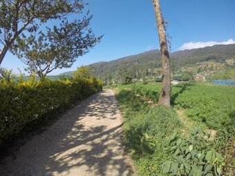 Villa Shannon Rise Holiday Home