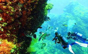 Bed & Breakfast Chambres D'hotes - Villa La Licorne