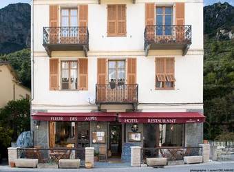 Hotel H�tel Fleur Des Alpes