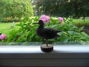 Bed & Breakfast L'escarbotine