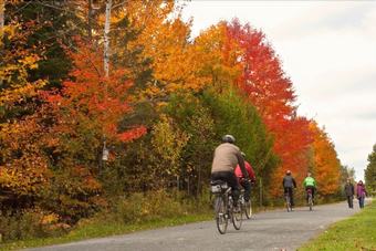 Chalets Le Village Suisse