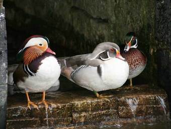 Hostal Domaine Du Feyel