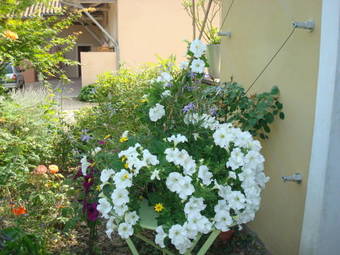 Bed & Breakfast La Chambre Du Meunier