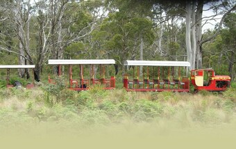 Bed & Breakfast Mountain View Motel