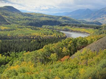 Bed & Breakfast Stikine View Lodge