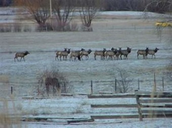 Bed & Breakfast The Leaning Tree Lodge
