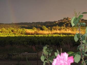 Bed & Breakfast Petite Suite Douillette