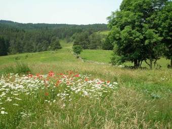 Bed & Breakfast La Monnerie