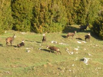 Hotel Du Col De La Machine