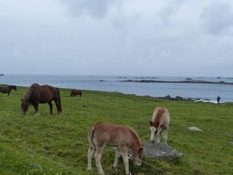 Villa With 4 Bedrooms In Plourin, With Private Pool, Enclosed Garden And Wifi - 4 Km From The Beach