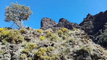 Hotel Los B�rchules