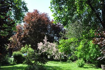 Bed & Breakfast Mont Blanc Location Bien-etre