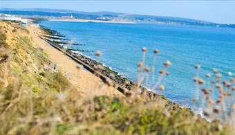 Milford On Sea Detached Bungalow