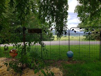 Blue Ridge Manor Bed And Breakfast