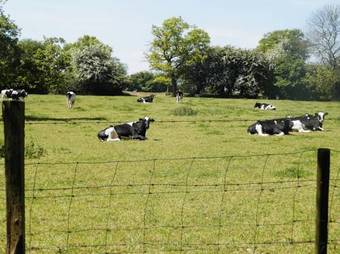 Bed & Breakfast Chambres Et Table D'h�tes Les Trois Marquets