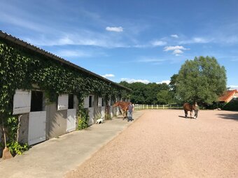 Bed & Breakfast Le Domaine Du Mijarnier
