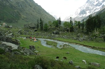 Hotel Himalayan