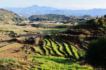 Hotel Swiss Family Home