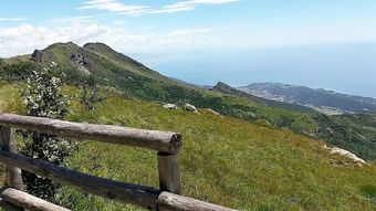 Apartamento Below The Castle 68