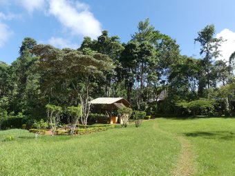 Amani Forest Camp Emau Hill