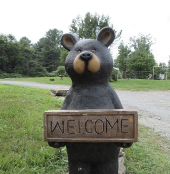 Cabin & Motel Rentals